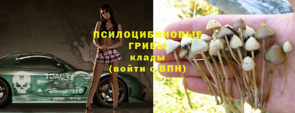 дмт Алексин