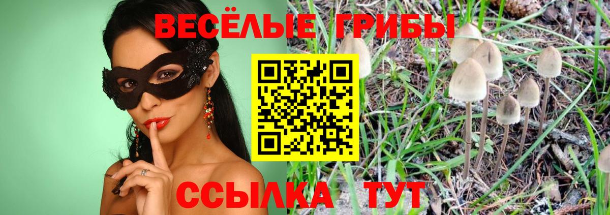 Псилоцибиновые грибы мухоморы  Вход с VPN  Галлюциногенные грибы мухоморы  Лениногорск 